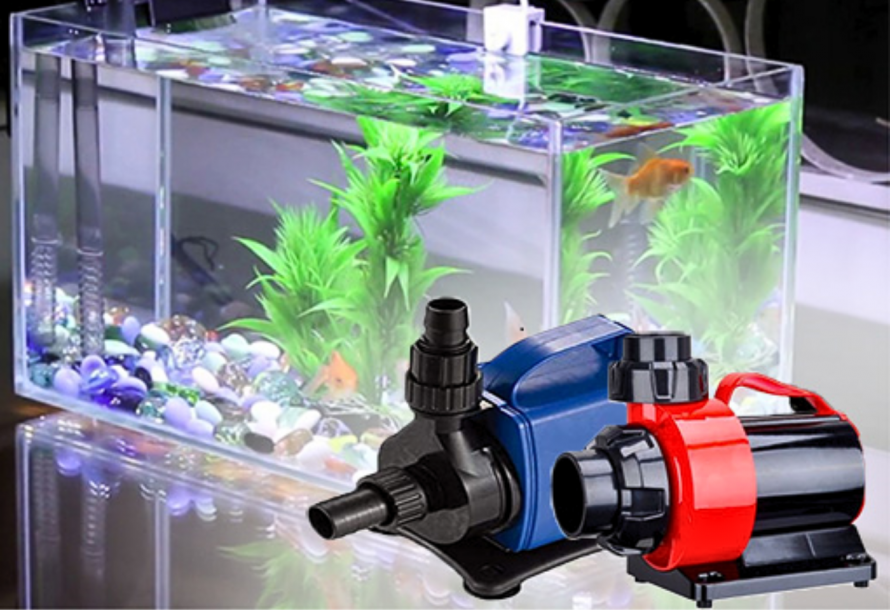 Máy Bơm Nước Bể Cá Tiết Kiệm Điện: Giải Pháp Tối Ưu Cho Gia Đình