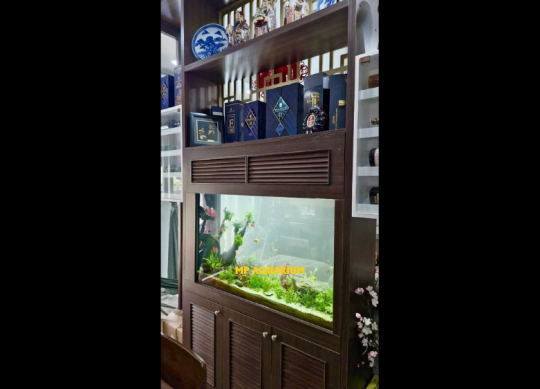 Bể Vách Ngăn VN12