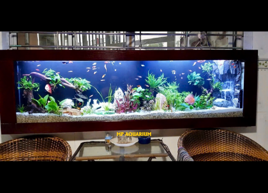 Bể Treo Tường TT03
