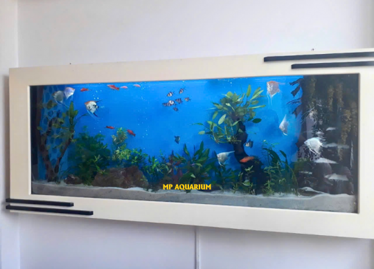 Bể Treo Tường TT01