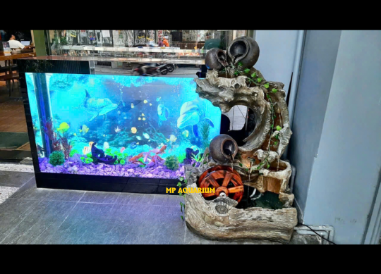 Tủ Hồ Cá TH16