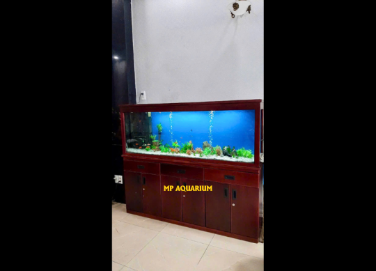 Tủ Hồ Cá TH19