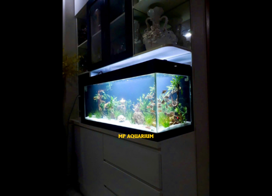 Bể Vách Ngăn VN21