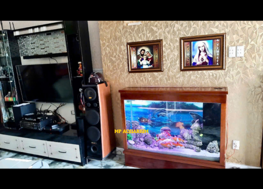 Tủ Hồ Cá TH25