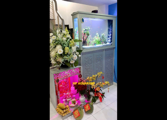 Bể Vách Ngăn VN04
