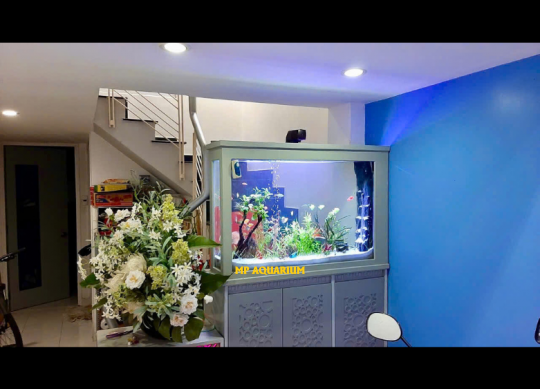 Bể Vách Ngăn VN05