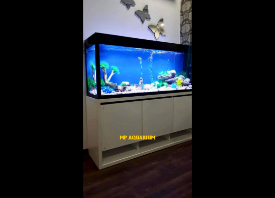 Tủ Hồ Cá TH07